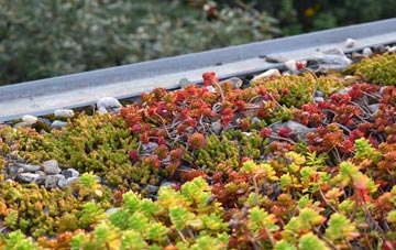 the cost of Port Carlisle green roof installation
